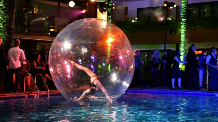 Sous les projecteurs, le cirque se rĂ©invente avec une touche de sophistication, oĂč chaque acrobatie est une Ćuvre d'art raffinĂ©e."