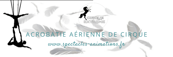 Acrobatie Aérienne🕊
